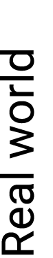 Real world