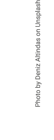 Photo by Deniz Altindas on Unsplash