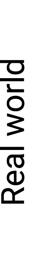 Real world