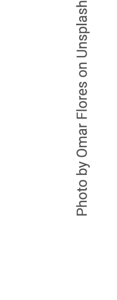 Photo by Omar Flores on Unsplash