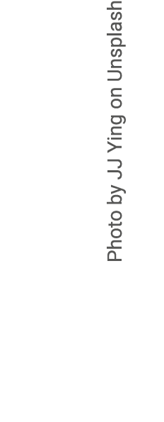 Photo by JJ Ying on Unsplash