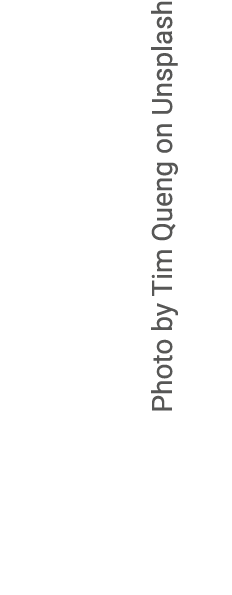Photo by Tim Queng on Unsplash