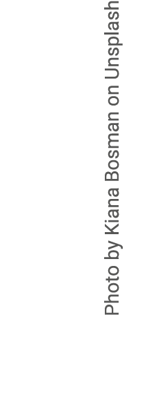 Photo by Kiana Bosman on Unsplash