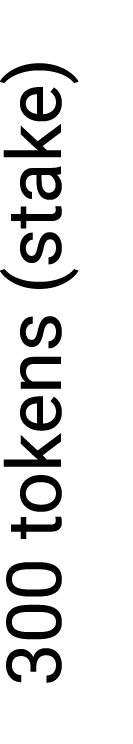 300 tokens (stake)